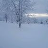 tinajoky43